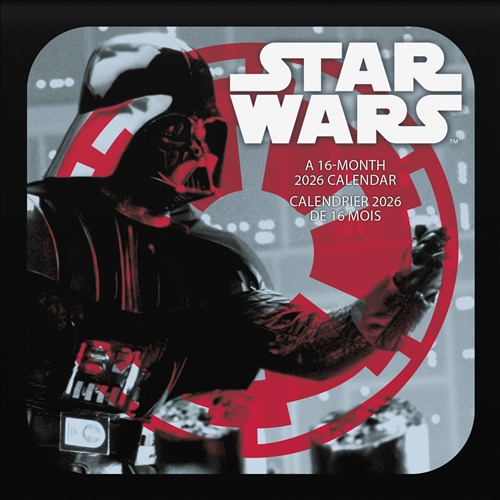 Calendrier Mural 2022 Star Wars The Mandalorian - 12 Mois, 30x60 Cm, Multilingue, Poster Inclus