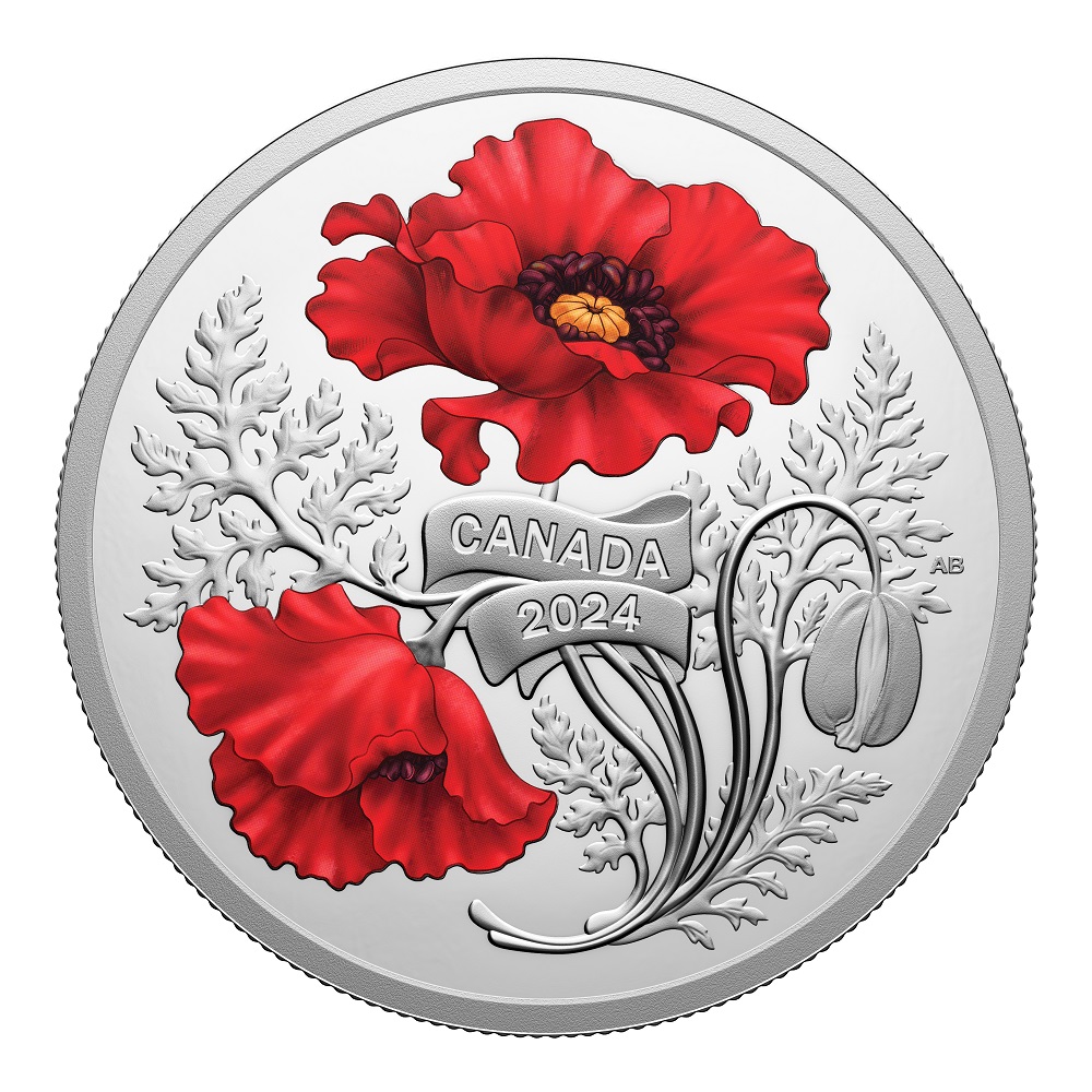 Croix Du Souvenir En Bois Avec Coquelicot - Commémoration Du 11 Novembre - Croix Vintage Pour Jour Du Souvenir