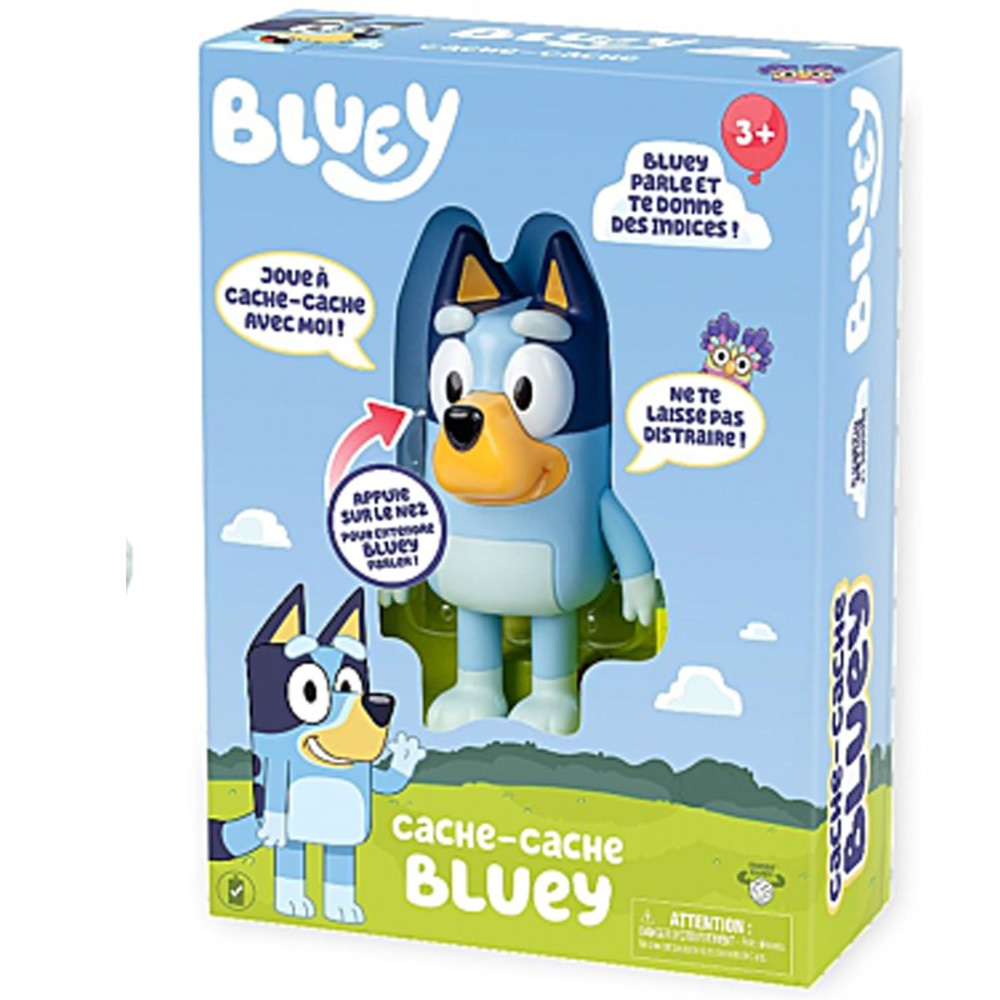 CACHE-CACHE (FRANÇAIS)