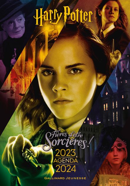 Calendrier 2024 Harry Potter édition collector 