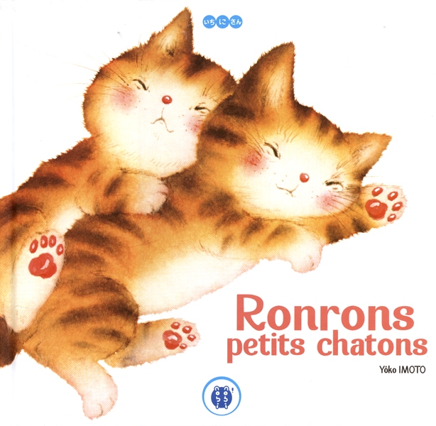 Pokemon chaton ronron