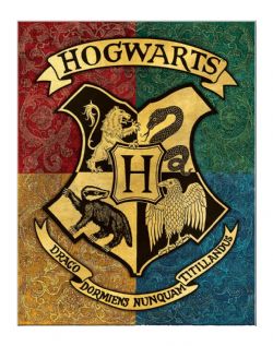 HARRY POTTER -  METAL POSTER 