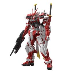 BANDAI MG 1/100 Gunner Zaku Warrior [Lunamaria Hawke Custom] Clear