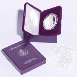 SILVER EAGLES -  PIÈCE D'UNE ONCE EN ARGENT PUR 1993 