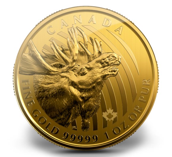Call Of The Wild Moose 1 Ounce Pure Gold Coin 2019 Canadian Coins 06 13 Investment Gold Bullion Coins And Bars