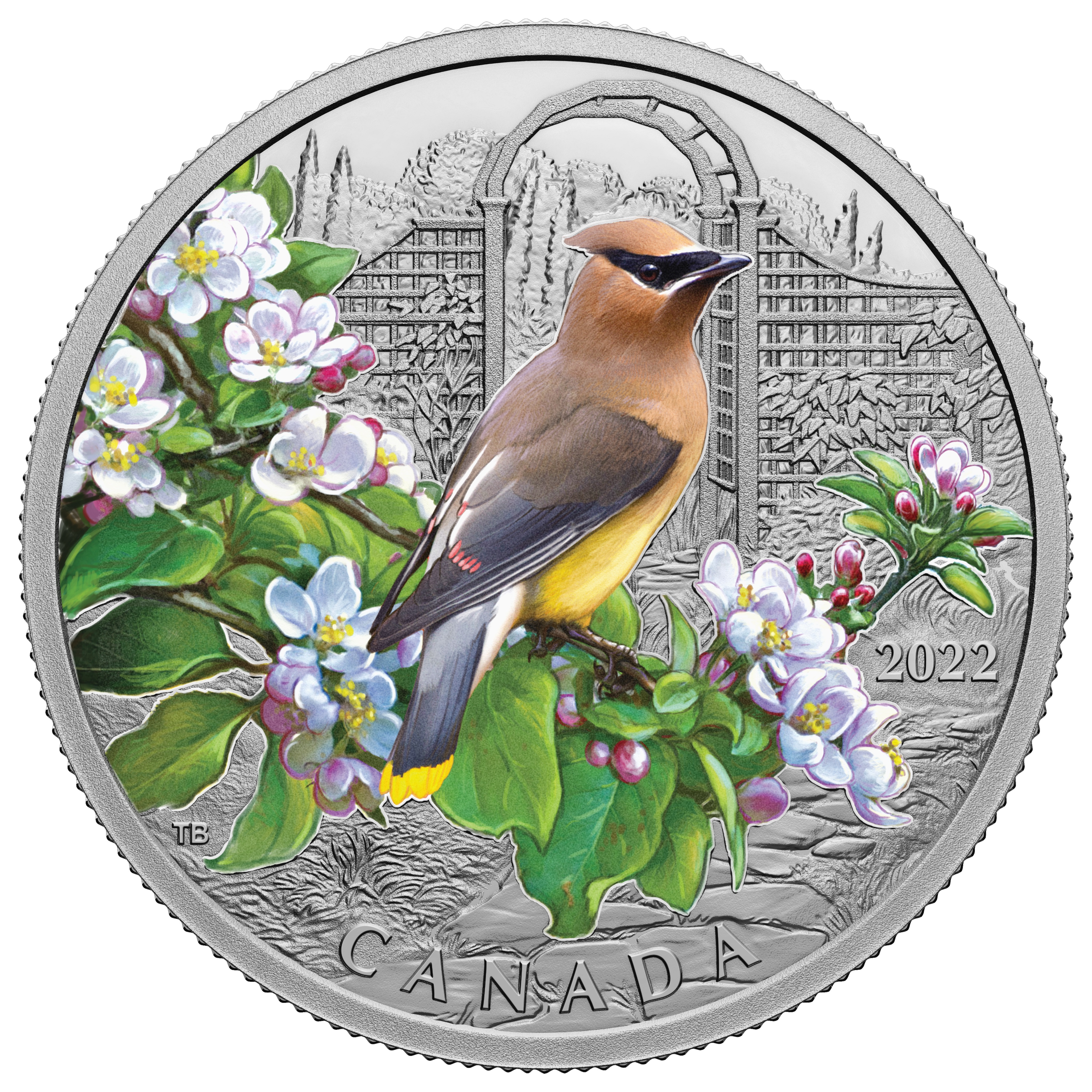 COLOURFUL BIRDS -  CEDAR WAXWING -  2022 CANADIAN COINS 02