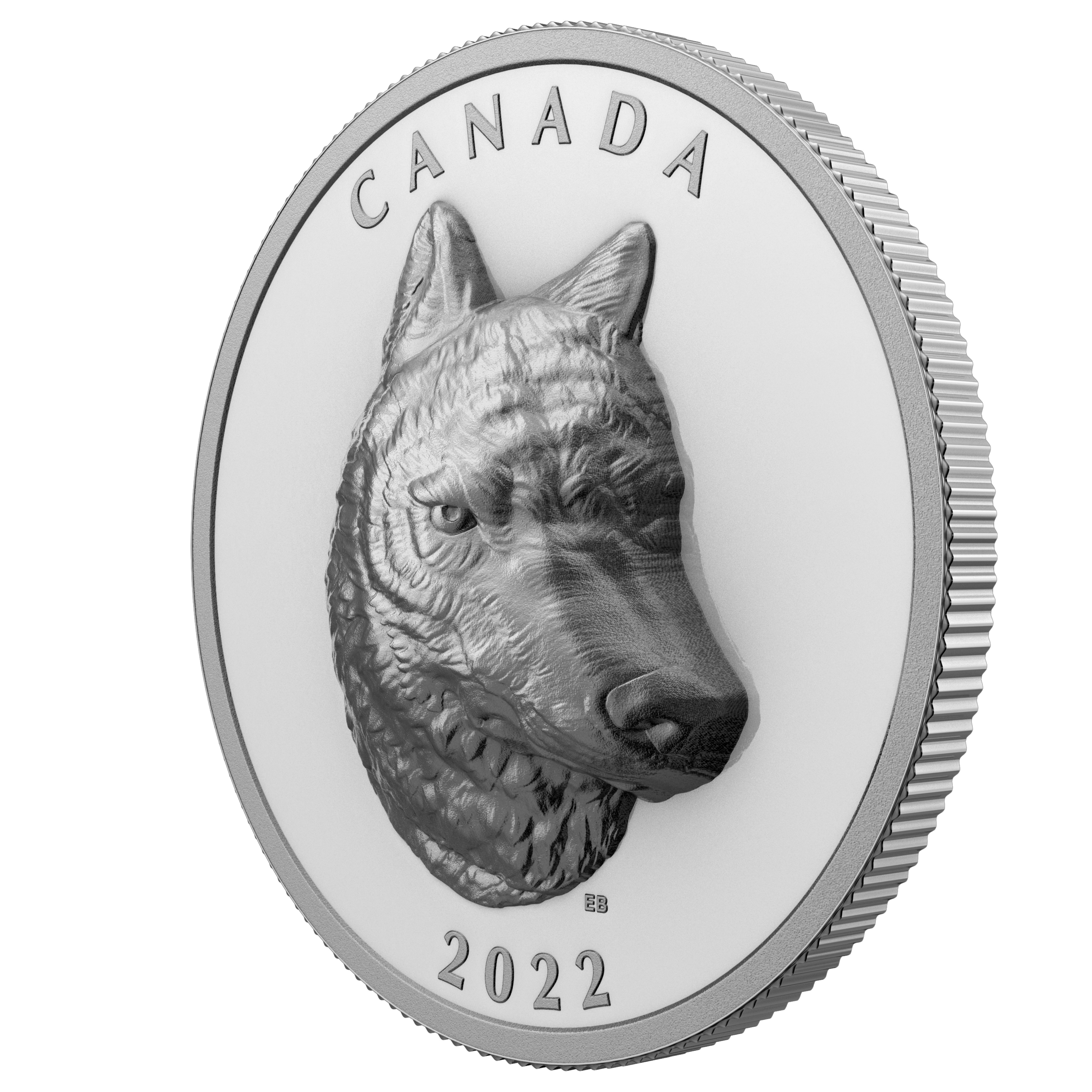 EXTRAORDINARILY HIGH RELIEF COINS -  TIMBER WOLF -  2022 CANADIAN COINS 03