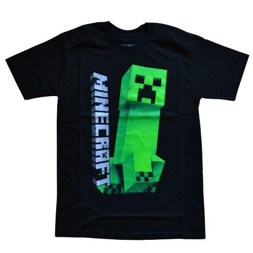 MINECRAFT - 