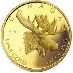 1/25 OZ IN GOLD -  MAJESTIC MOOSE -  2004 CANADIAN COINS 01