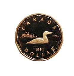 1-DOLLAR -  1991 1-DOLLAR (PR) -  1991 CANADIAN COINS