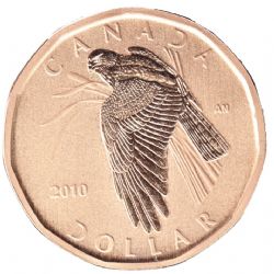 1-DOLLAR -  2010 1-DOLLAR - NORTHERN HARRIER (SP) -  2010 CANADIAN COINS