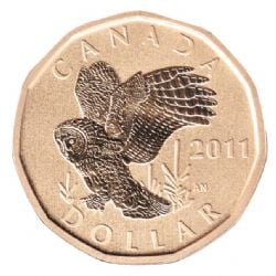 1-DOLLAR -  2011 1-DOLLAR - GREAT GRAY OWL (SP) -  2011 CANADIAN COINS