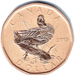 1-DOLLAR -  2013 1-DOLLAR - BLUE-WINGED TEAL (SP) -  2013 CANADIAN COINS