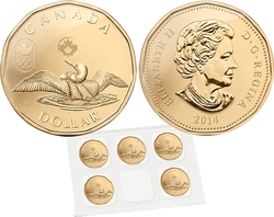 1-DOLLAR -  2014 1-DOLLAR - LUCKY LOONIE - SET OF FIVE COINS -  2014 CANADIAN COINS