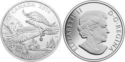 100$ FOR 100$ -  MAJESTIC BALD EAGLE -  2014 CANADIAN COINS 03