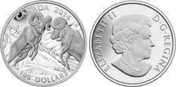 100$ FOR 100$ -  ROCKY MOUNTAIN BIGHORN SHEEP -  2014 CANADIAN COINS 04