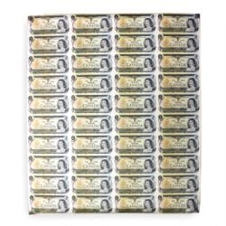 1973 -  UNCUT 1 DOLLAR BANK NOTE SHEET, PREFIX ECV (4X10) (VF)