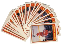 1990-91 HOCKEY -  O-PEE-CHEE RED ARMY (22 CARDS)