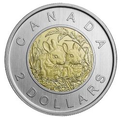 2-DOLLAR -  2014 2-DOLLAR - YOUNG WILDLIFE: BABY RABBITS (SP) -  2014 CANADIAN COINS