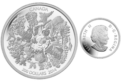 200$ FOR 200$ -  TOWERING FORESTS OF CANADA -  2014 CANADIAN COINS 01