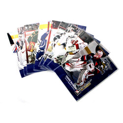 2009-10 HOCKEY -  BETWEEN THE PIPES AHL ROOKIES SET (9 CARDS)