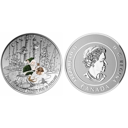 25$ FOR 25$ -  WOODLAND ELF -  2016 CANADIAN COINS 04