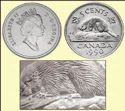 5-CENT -  1990 5-CENT - BARE BELLY BEAVER - BRILLIANT UNCIRCULATED (BU) -  1990 CANADIAN COINS