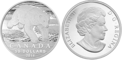 50$ FOR 50$ -  THE POLAR BEAR -  2014 CANADIAN COINS 01