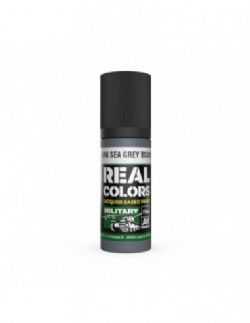 ACRYLIC PAINT -  RAF DARK SEA GREY (17 ML) -  AK INTERACTIVE REAL COLORS