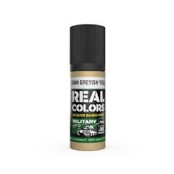 ACRYLIC PAINT -  RUSSIAN GREYISH YELLOW (17 ML) -  AK INTERACTIVE REAL COLORS