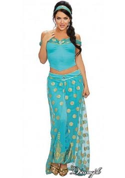 ALADDIN -  ARABIAN PRINCESS COSTUME (ADULT)