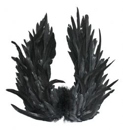ANGEL -  BLACK FEATHER WINGS