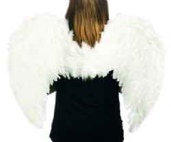 ANGEL -  WHITE FEATHER WINGS FLEXIBLE (31