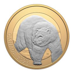 ANIMAL PORTRAITS -  POLAR BEAR -  2025 CANADIAN COINS 01