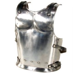 ARMORS -  WARRIOR BACK PLATE (SMALL)