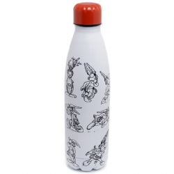 ASTÉRIX -  STAINLESS STEEL WATER BOTTLE WITH COMIC BOOK DESIGN (530 ML)