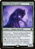 Adventures in the Forgotten Realms -  Werewolf Pack Leader