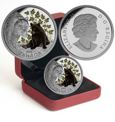 BABY ANIMALS -  BLACK BEAR -  2015 CANADIAN COINS 04