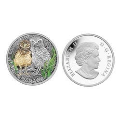 BABY ANIMALS -  BURROWING OWL -  2015 CANADIAN COINS 03