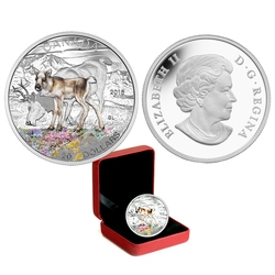 BABY ANIMALS -  CARIBOU -  2016 CANADIAN COINS 10