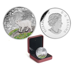 BABY ANIMALS -  MOUNTAIN GOAT -  2015 CANADIAN COINS 05