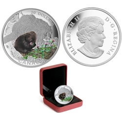 BABY ANIMALS -  PORCUPINE -  2016 CANADIAN COINS 07