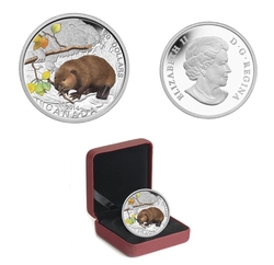 BABY ANIMALS -  THE BEAVER -  2014 CANADIAN COINS 01