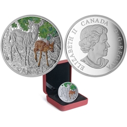 BABY ANIMALS -  WHITE-TAILED DEER -  2015 CANADIAN COINS 06