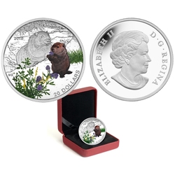BABY ANIMALS -  WOODCHUCK -  2016 CANADIAN COINS 11
