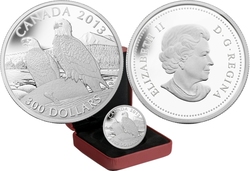 BALD EAGLE -  2013 CANADIAN COINS