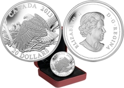 BALD EAGLES -  MOTHER PROTECTING HER EAGLETS -  2013 CANADIAN COINS 04