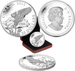 BALD EAGLES -  RETURNING FROM THE HUNT -  2013 CANADIAN COINS 03