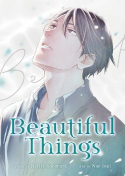 BEAUTIFUL THINGS -  THE COMPLETE MANGA COLLECTION (ENGLISH)