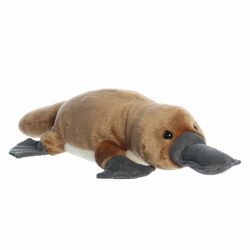 BINDI PLATYPUS (12